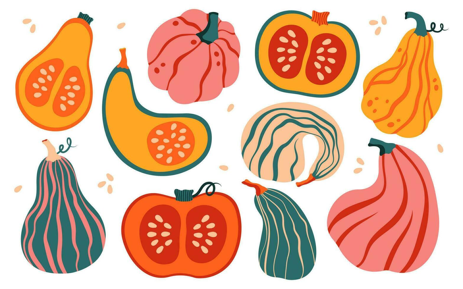 Set of hand drawn pumpkins with seeds isolated on white background. Autumn, fall, thanksgiving and halloween decoration. vector