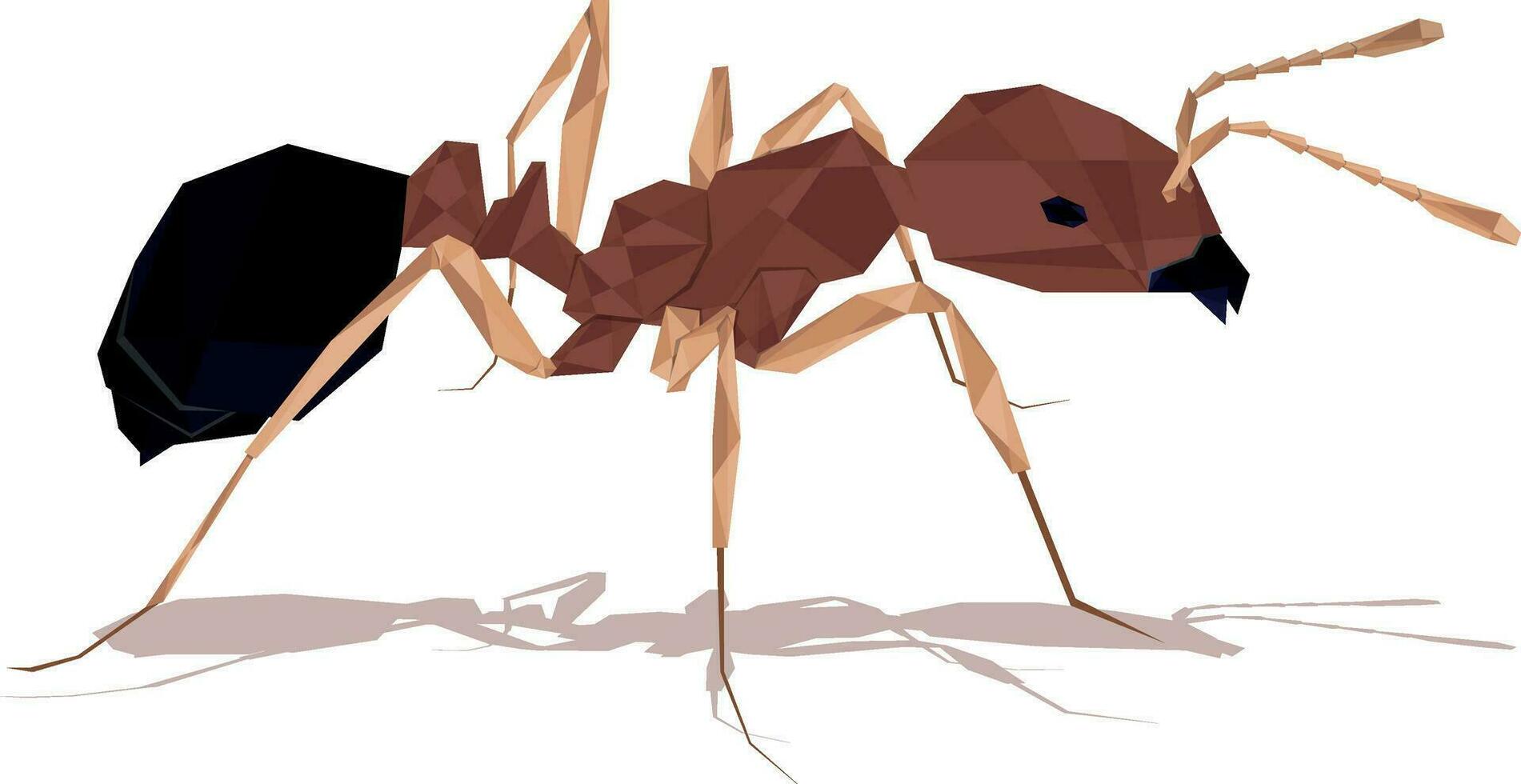 polygonal ant isolated on white vector