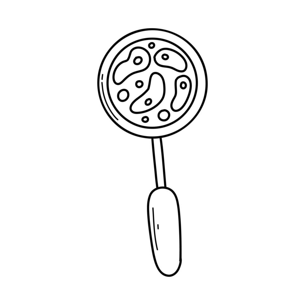 Vector magnifier with bacteria, microbes in doodle style isolated on white background. Linear magnifier.