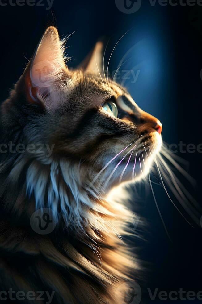 Close up portrait of a cute cat with beautiful eyes. AI Generated photo
