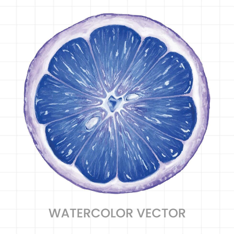 watercolor vector illustration of a slice of lemon