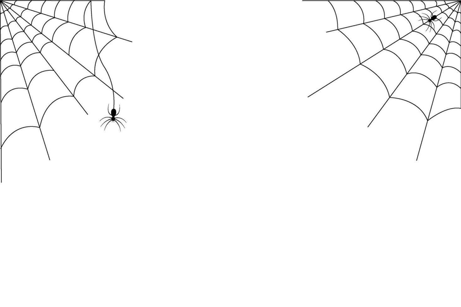 Spider and cobweb background. The scary of the halloween vector