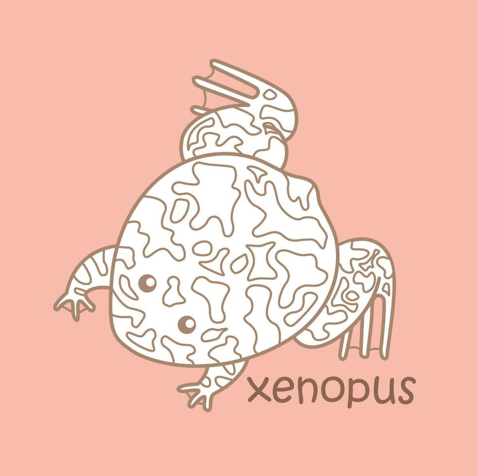 Alphabet X For Xenopus Vocabulary School Lesson Reading Cartoon Digital Stamp Outline vector