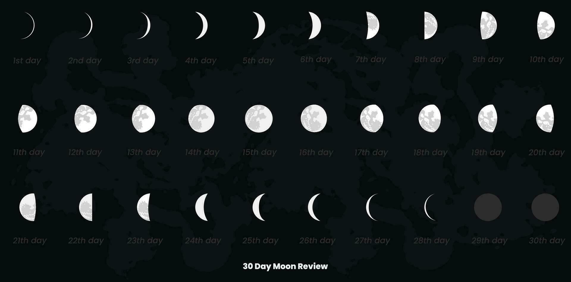 30 day moon phases and moon calendar vector