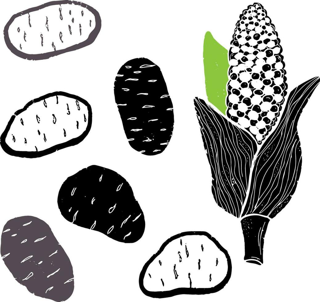 corn and potatoes are shown in black and white vector