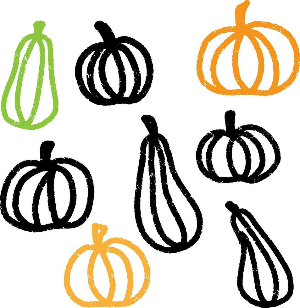 pumpkins and gourds clip art vector