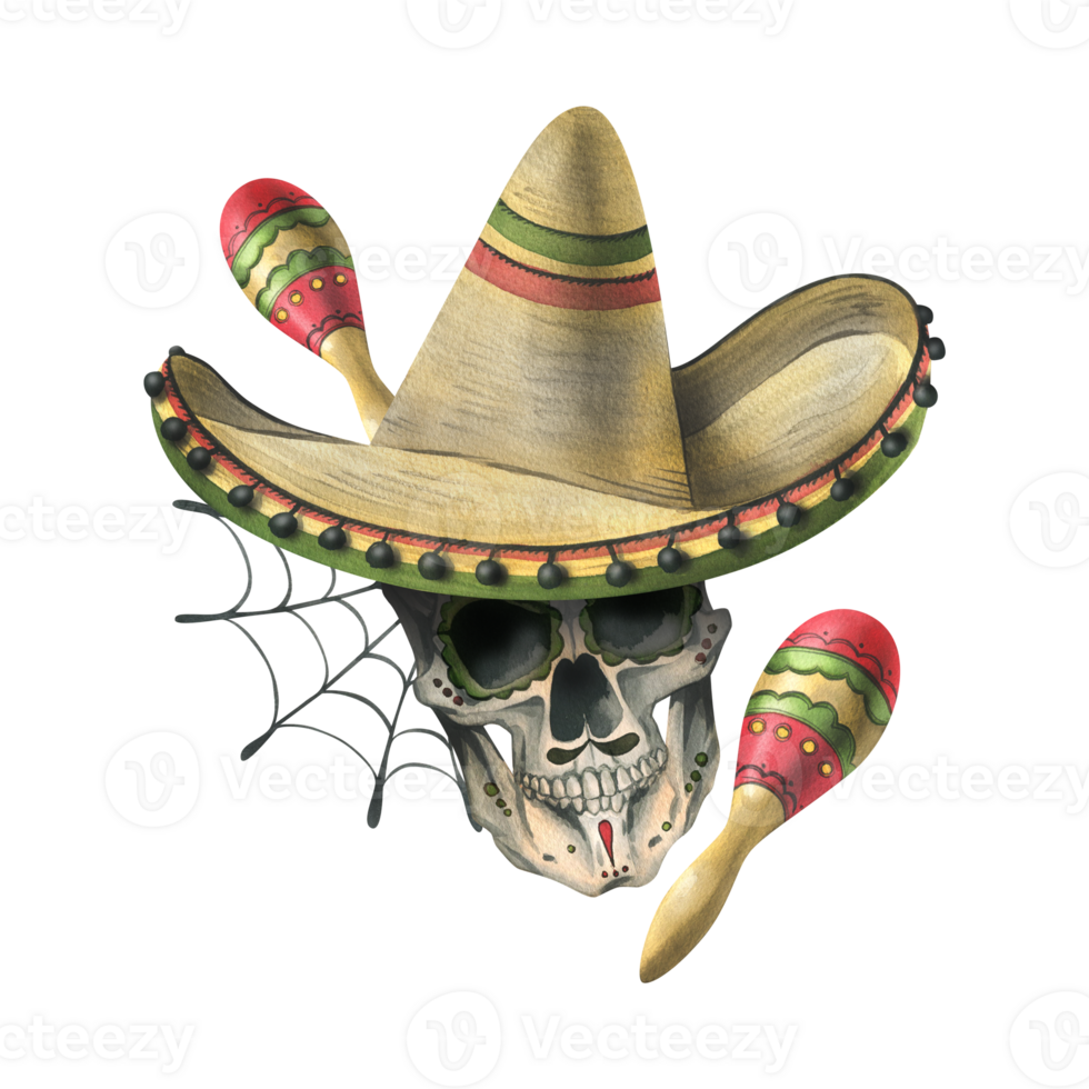 Ornamented human skull, in a sombrero hat with maracas and cobwebs. Hand drawn watercolor illustration for day of the dead, halloween, Dia de los muertos. Isolated composition png