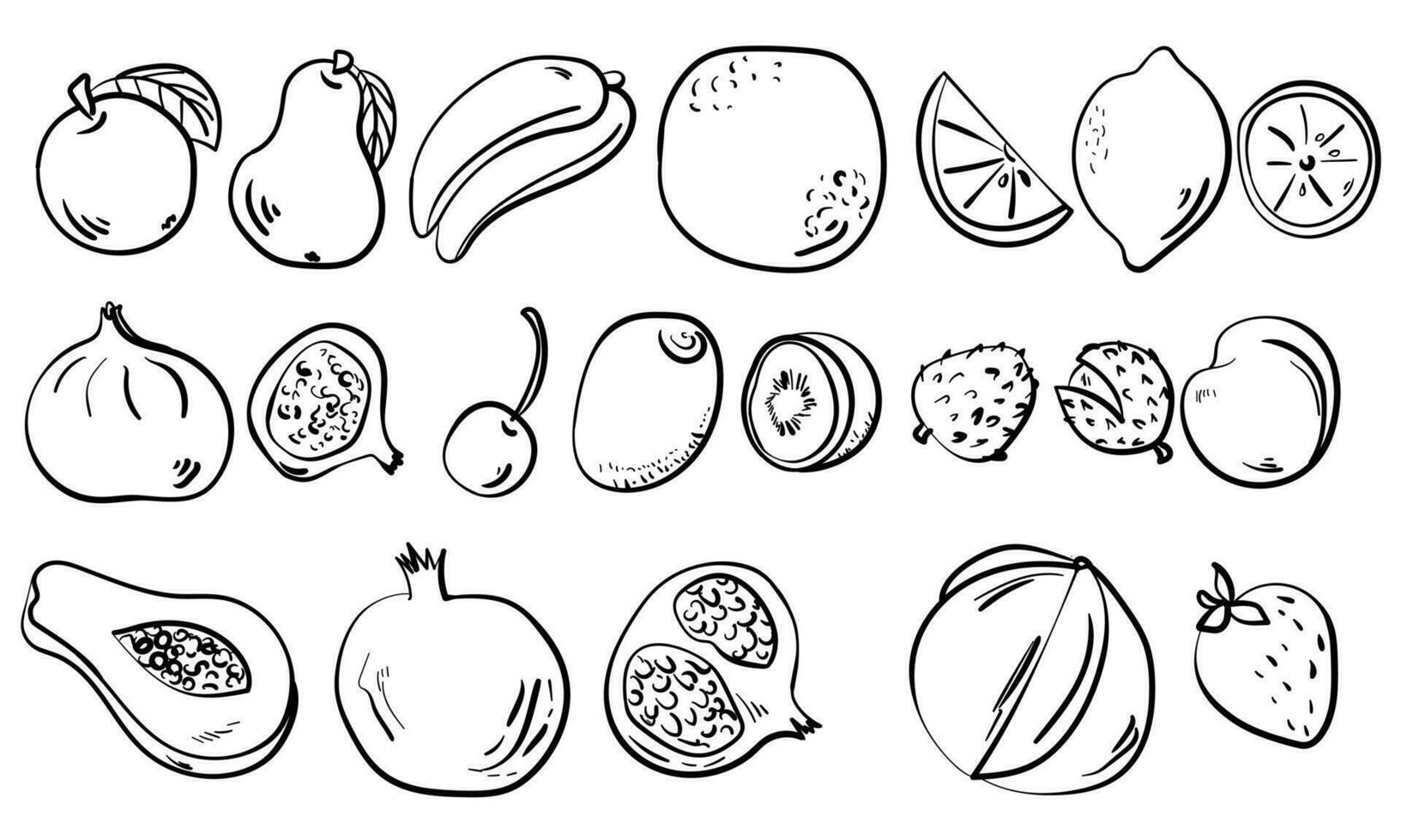 Set of outline fruits in doodle style, contour whole and sliced fruit vector