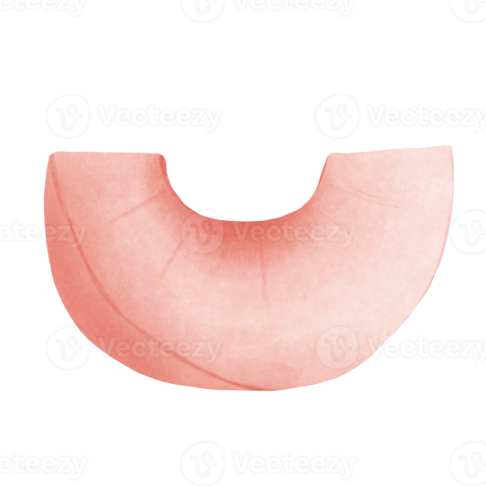 Peach fruit slice Illustration png