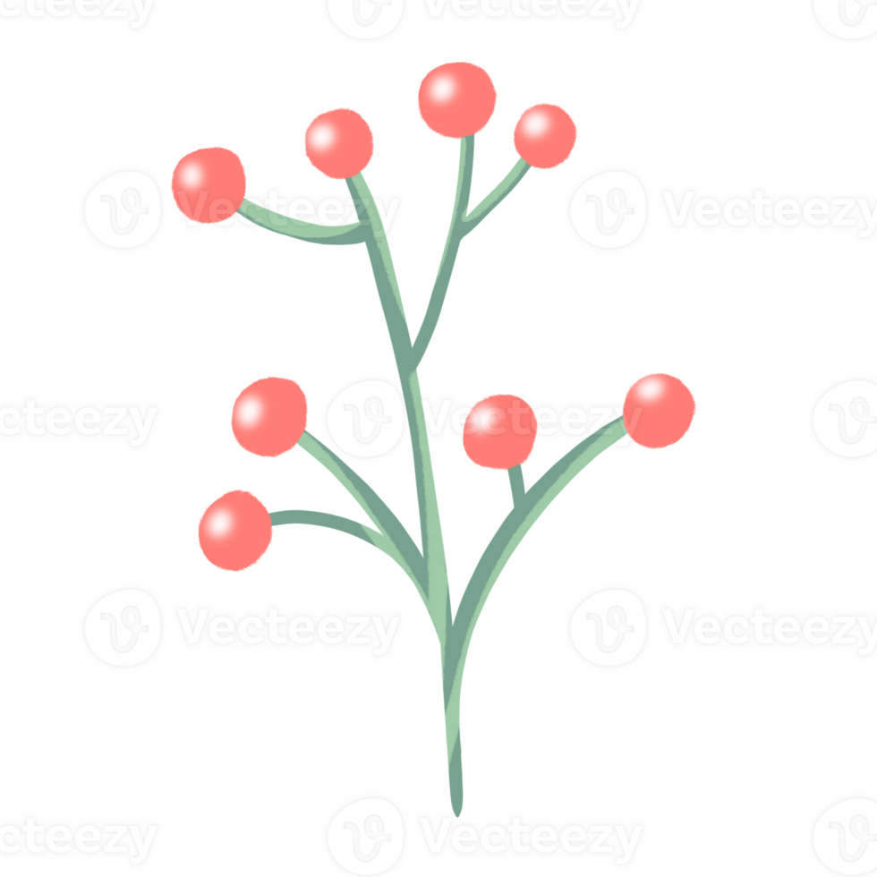 Red Currant cartoon png