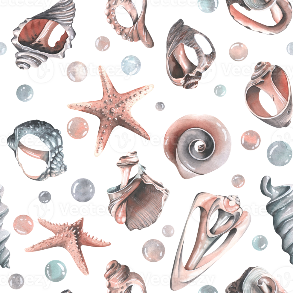 Various broken seashells and starfish, bubbles. Watercolor illustration hand drawn. Seamless pattern for fabric textiles, wallpaper, packaging, beach and summer prints png