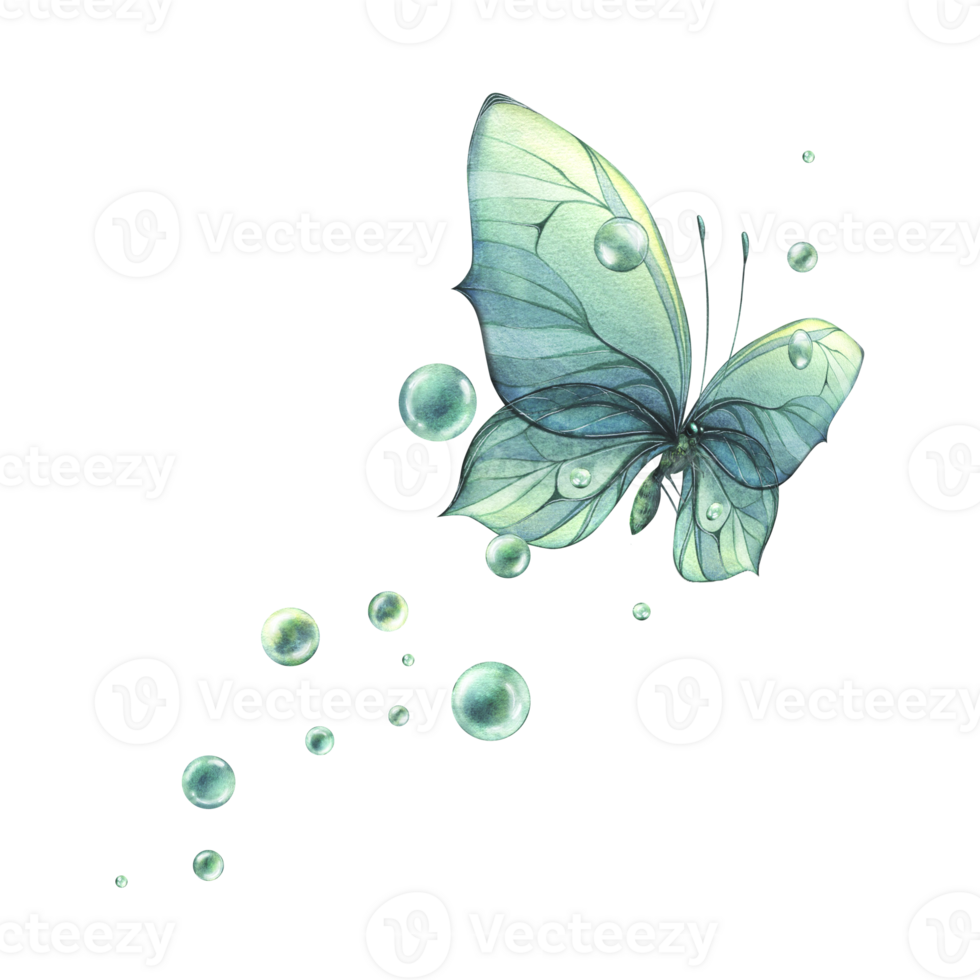 Blue, turquoise butterfly with a beautiful pattern on the wings flying with dew bubbles. Watercolor illustration hand drawn. Composition png