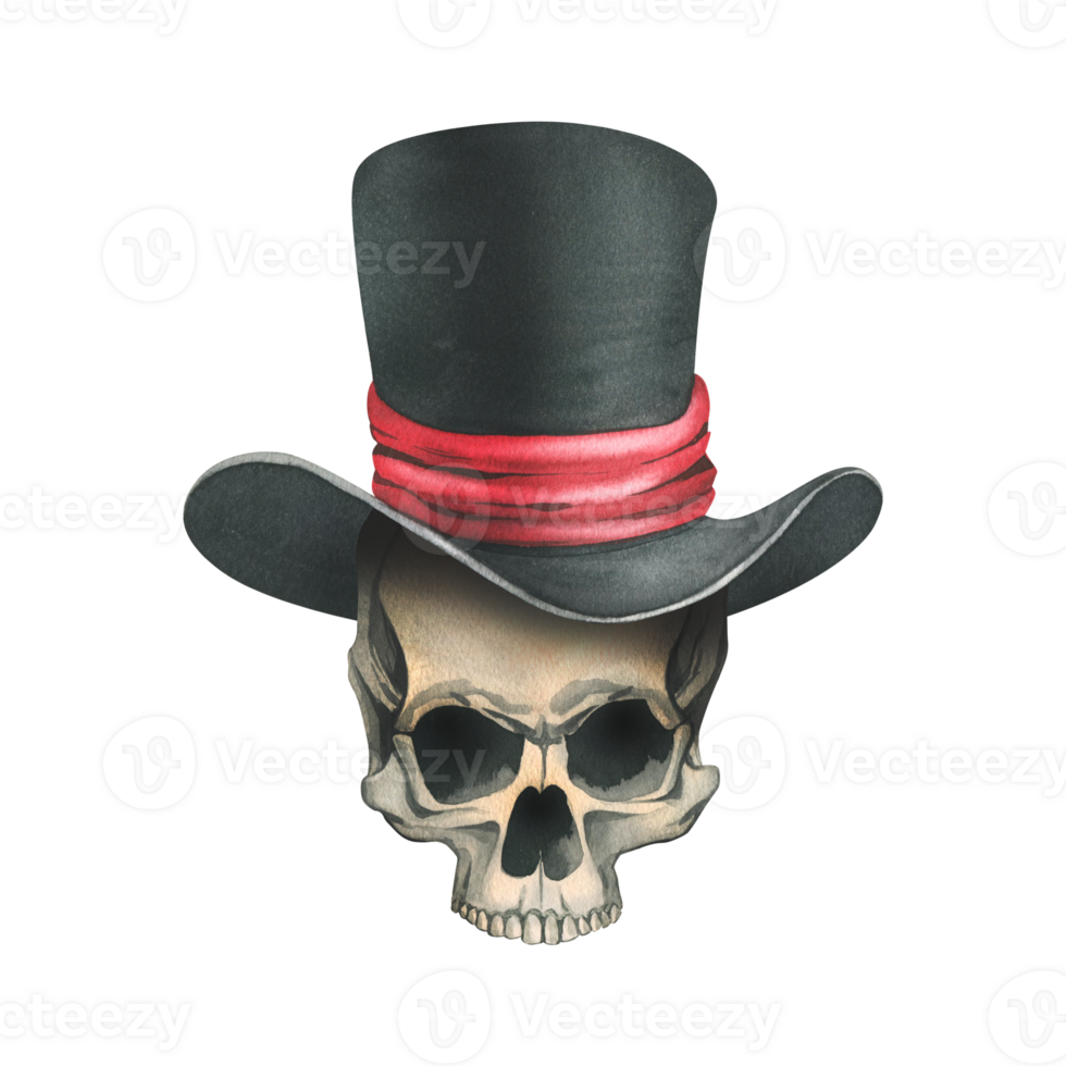 A human skull without a lower jaw in a black top hat with a red ribbon. Hand drawn watercolor illustration for day of the dead, halloween, Dia de los muertos. Isolated object png