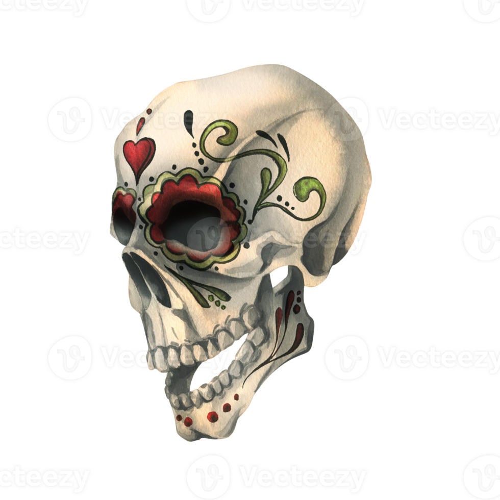 Human skull profile with a painted ornament is evil, terrible, spooky. Hand drawn watercolor illustration for day of the dead, halloween, Dia de los muertos. Isolated object png