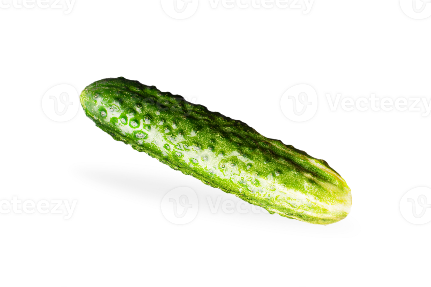 Cucumber isolated on  invisible png background