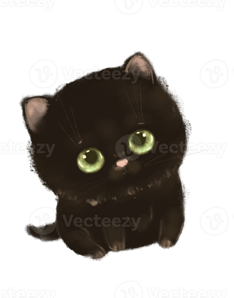 Fluffy playful little kitten with big eyes png