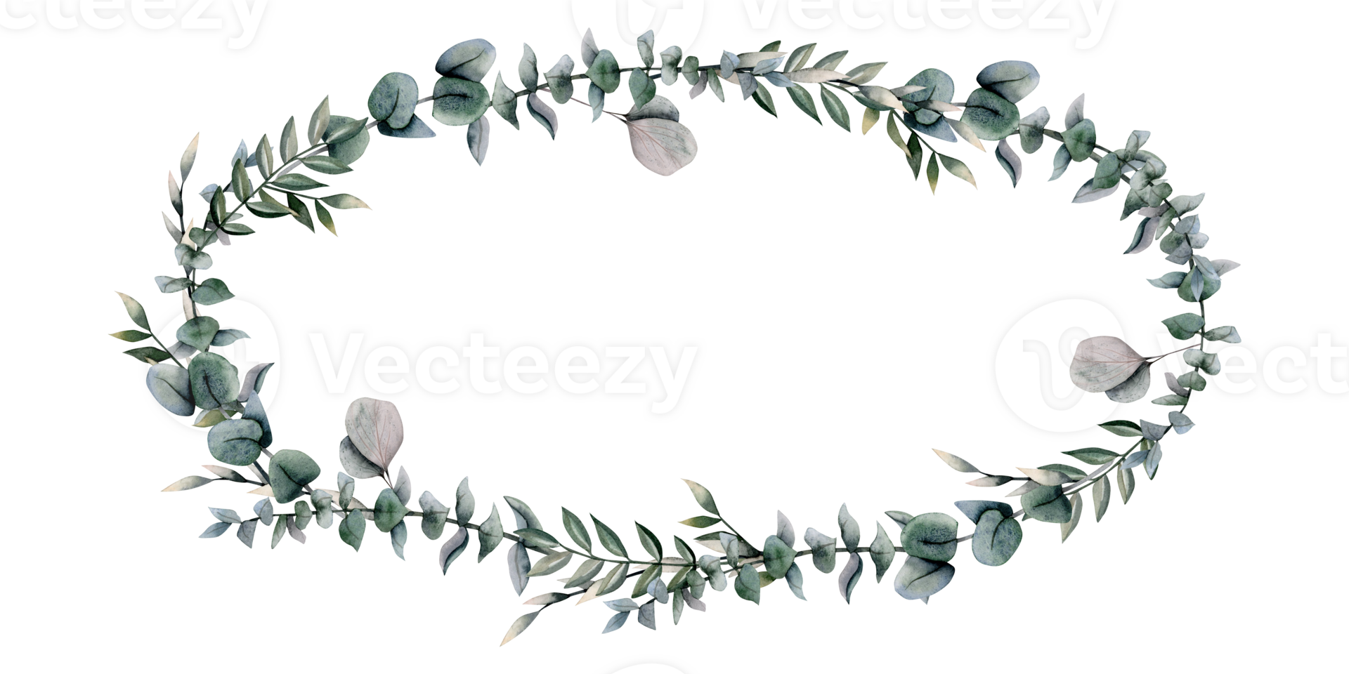 Oval eucalyptus golden wreath frame with silver dollar branches and grass. Elegant botanical green watercolor illustration png