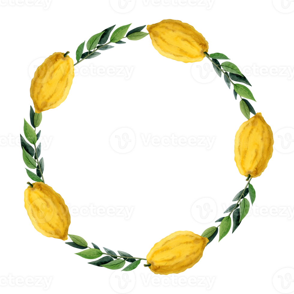Lemon fruits with green leaves round wreath frame watercolor illustration with Etrog or citron png