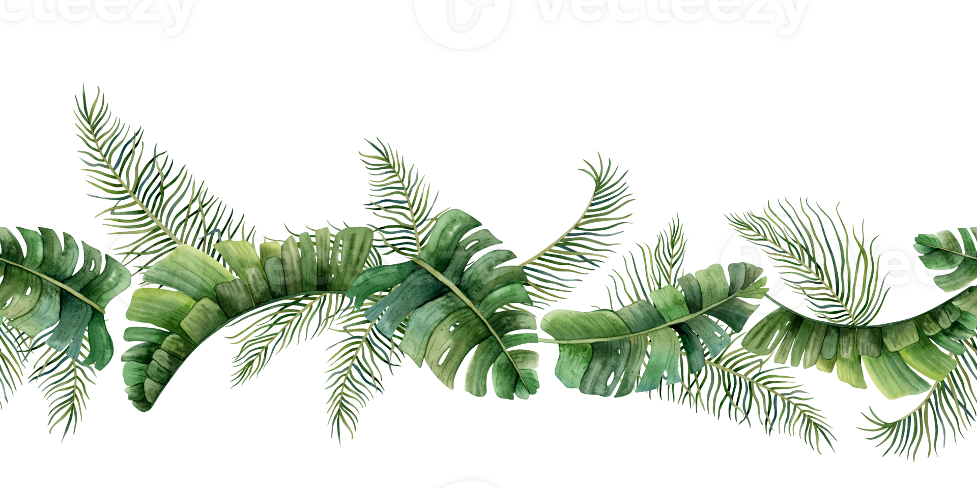 vattenfärg tropisk löv sömlös baner illustration. regnskog djungel lövverk gräns med handflatan, banan, monstera växter. grön sommar png