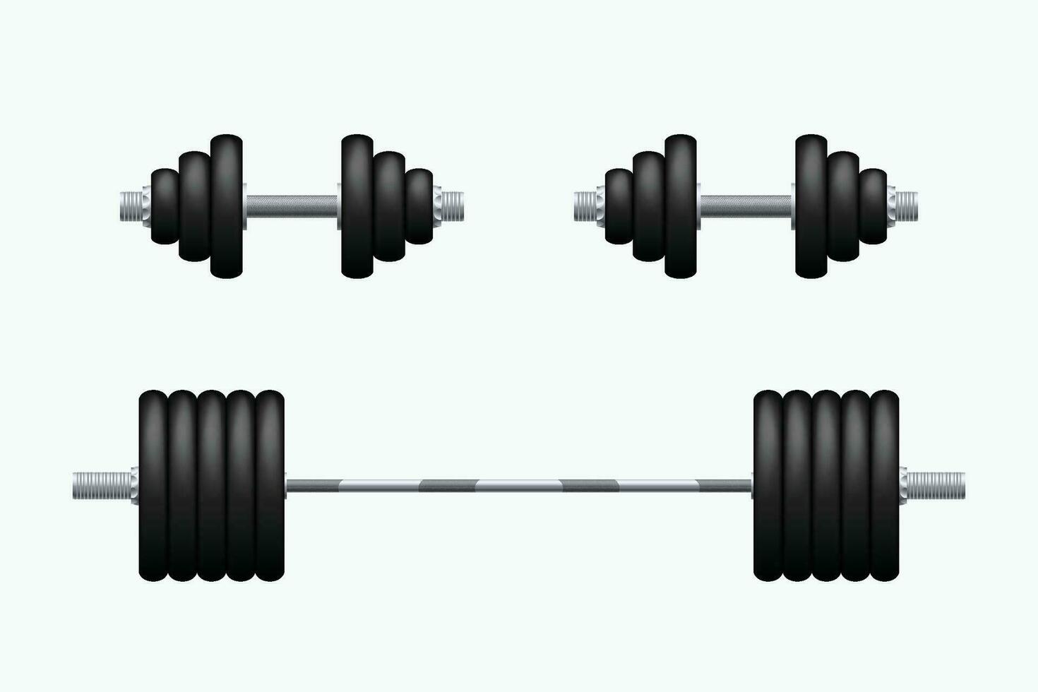 barbell and dumbbells isolated vector
