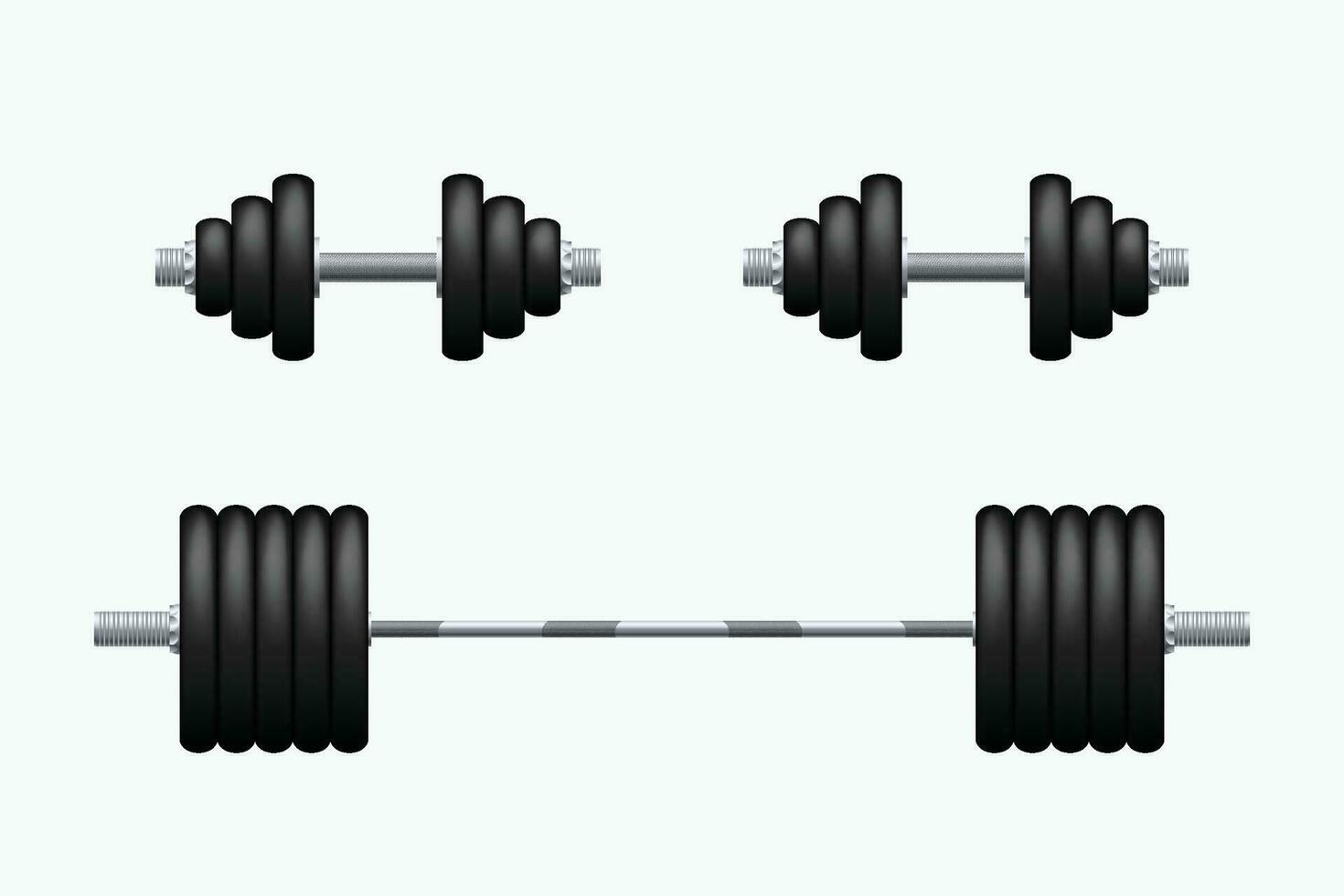 barbell and dumbbells isolated vector