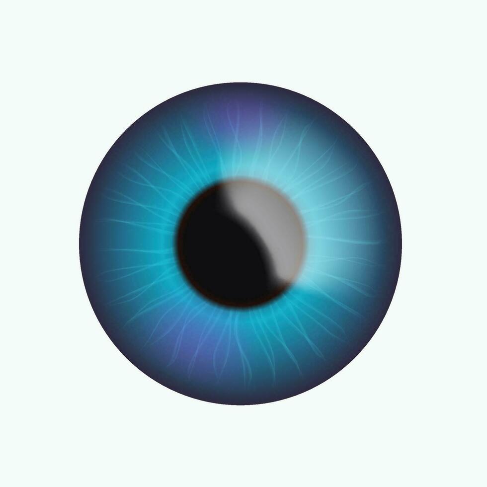 blue eye on white vector