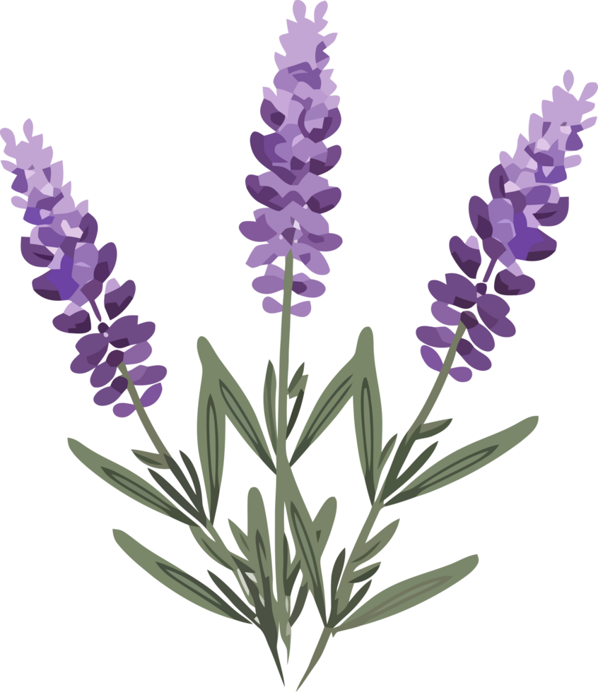 Cute Lavender Flower Drawing, Whimsical Decor Element, ai generated png