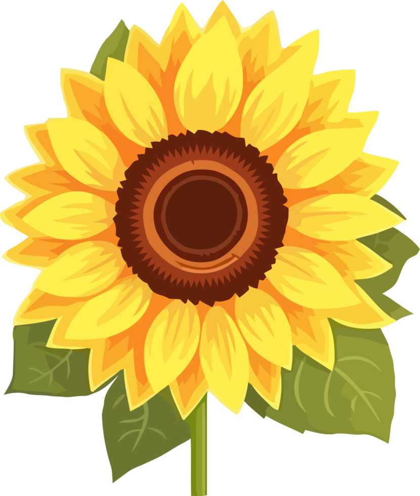 decorativo girasol diseño mano dibujado ilustración, ai generado png