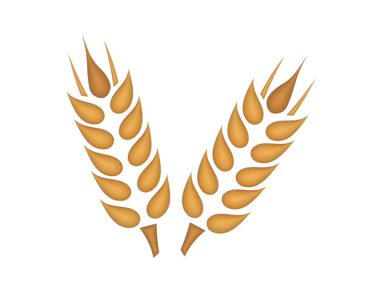 3d Grain Wheat transparent background png