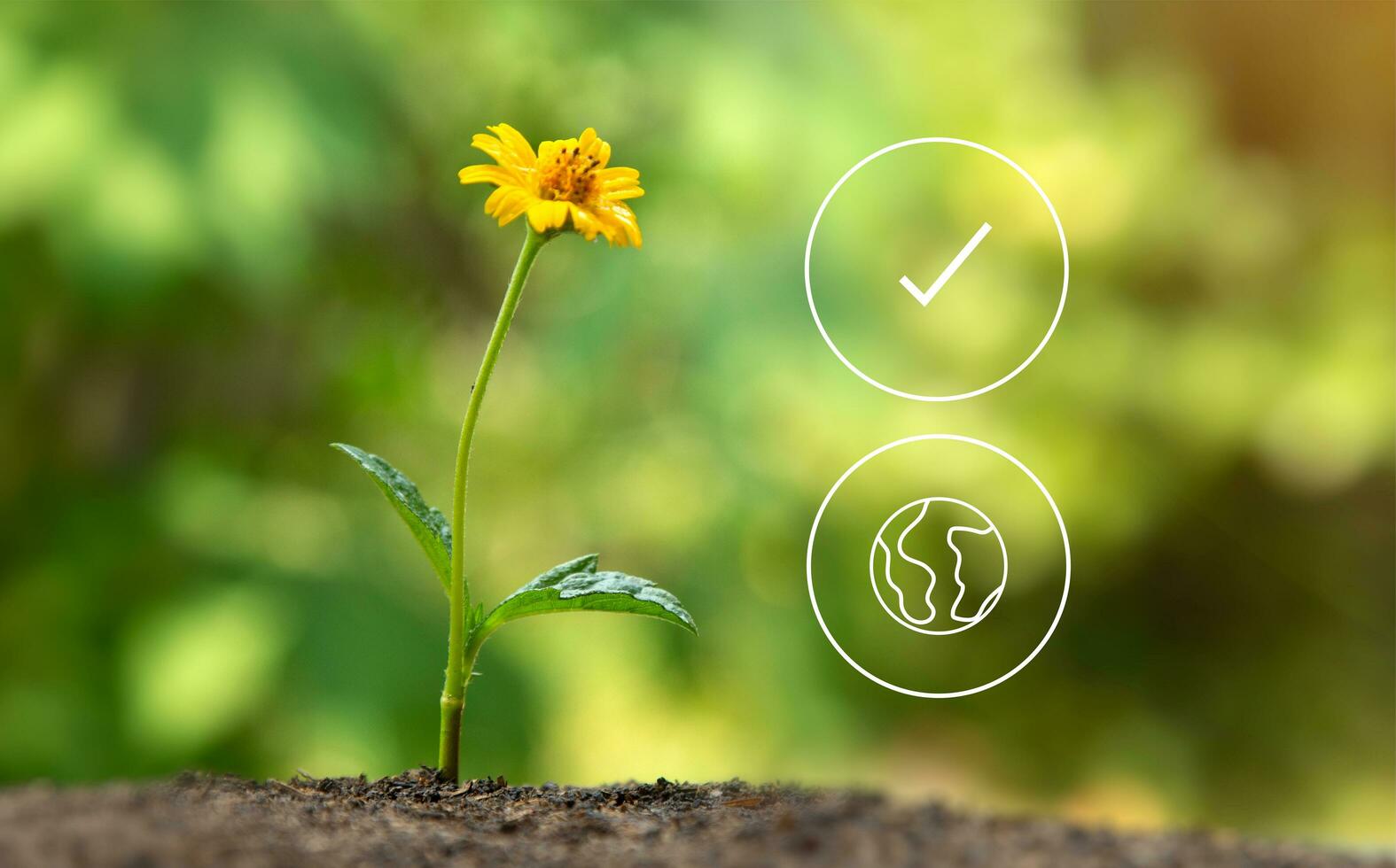 An Eco technology or environmental technology concept with environment Icons over the network connection photo