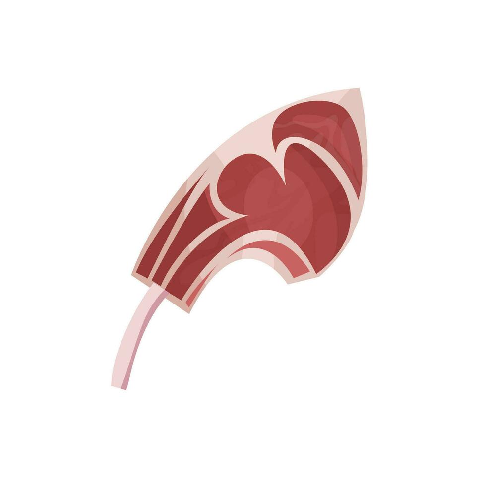 illustration of the types of meat cuts that exist around the world vector