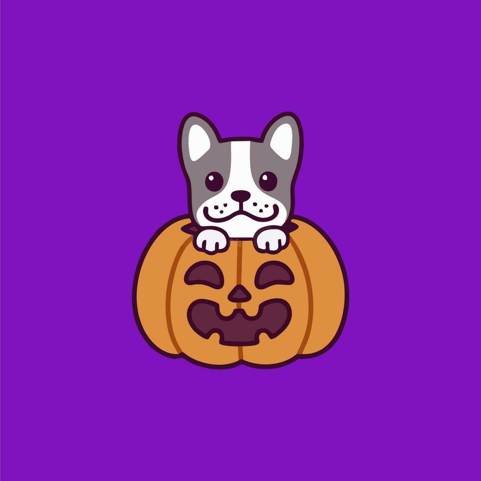 the best illustrations of cute and adorable pumpkins vector