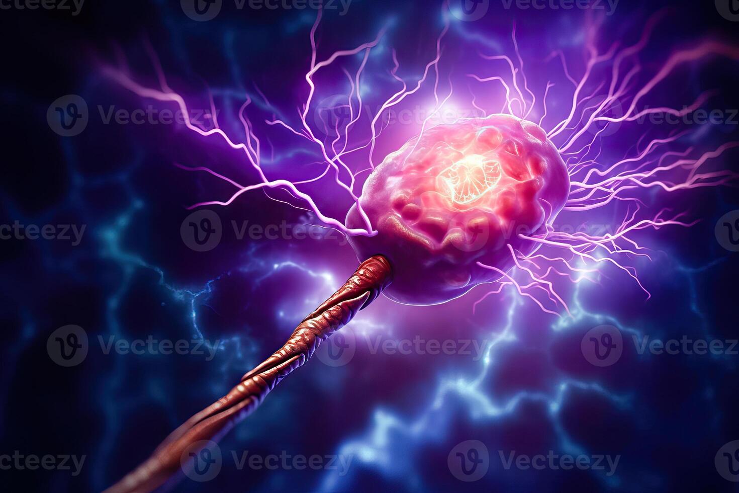 Electricity in the Brain - Neural Impulses and Nerve Cell Signals - photo