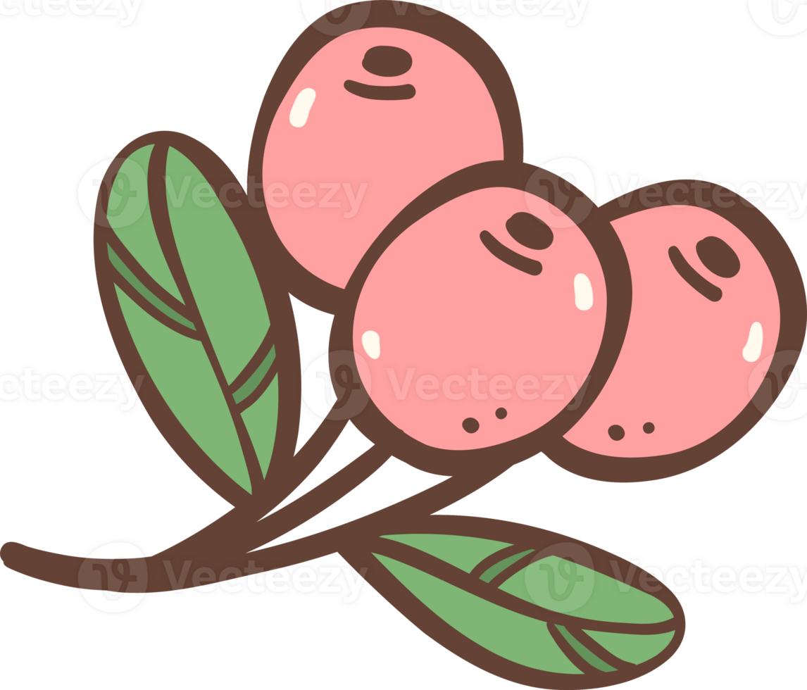 Coffee cherry doodle outline png