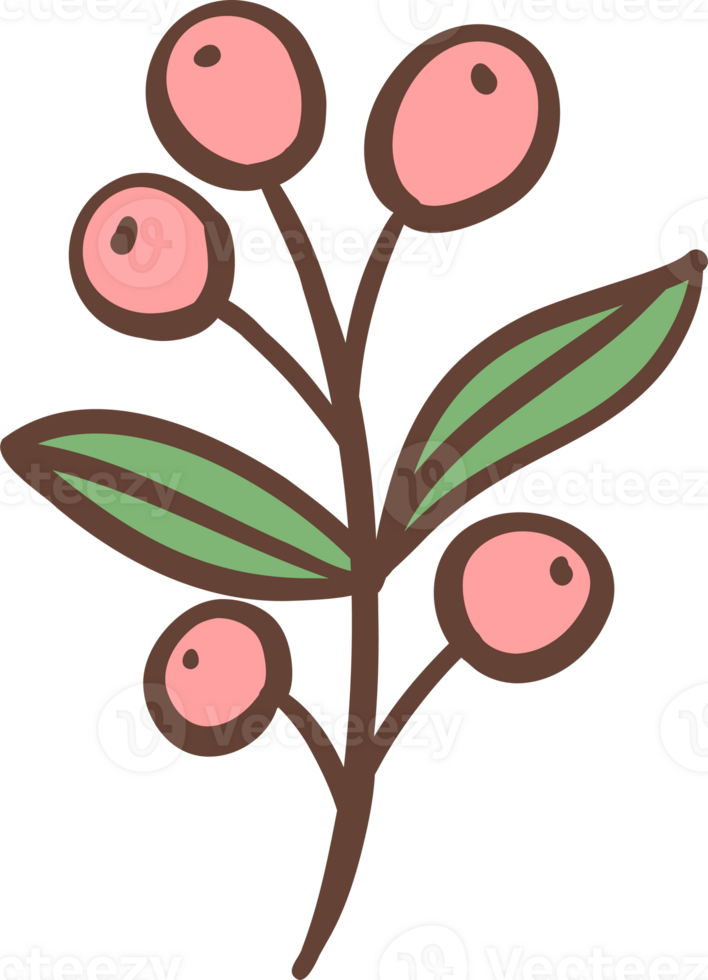 Coffee cherry doodle outline png