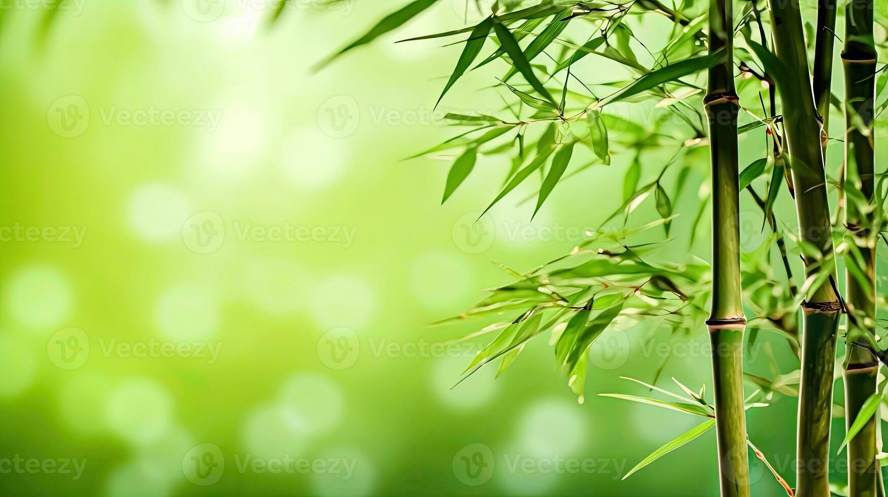 Bamboo Bliss - Bokeh Design Element - Generative AI photo