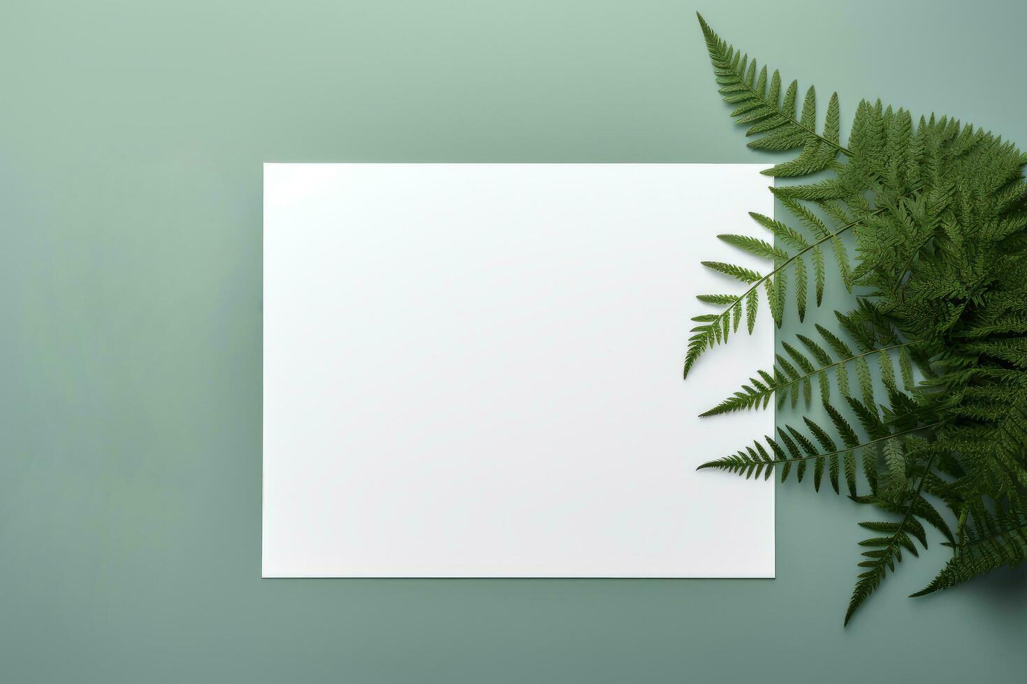 christmas card with branches photo