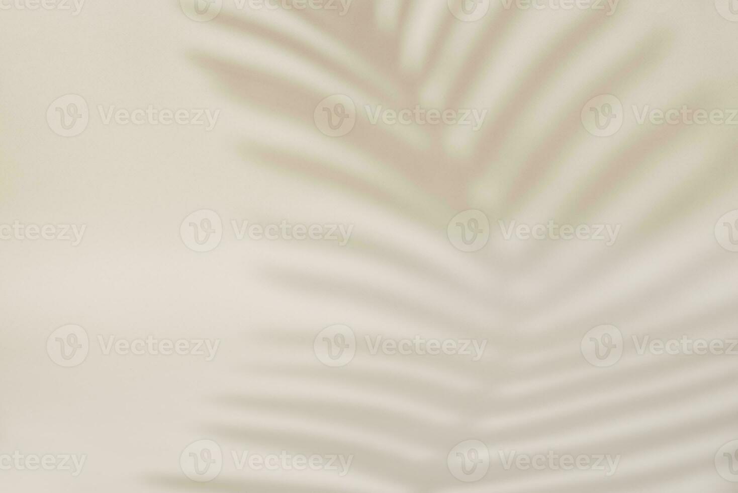 Shadow of palm leaf on pastel background photo