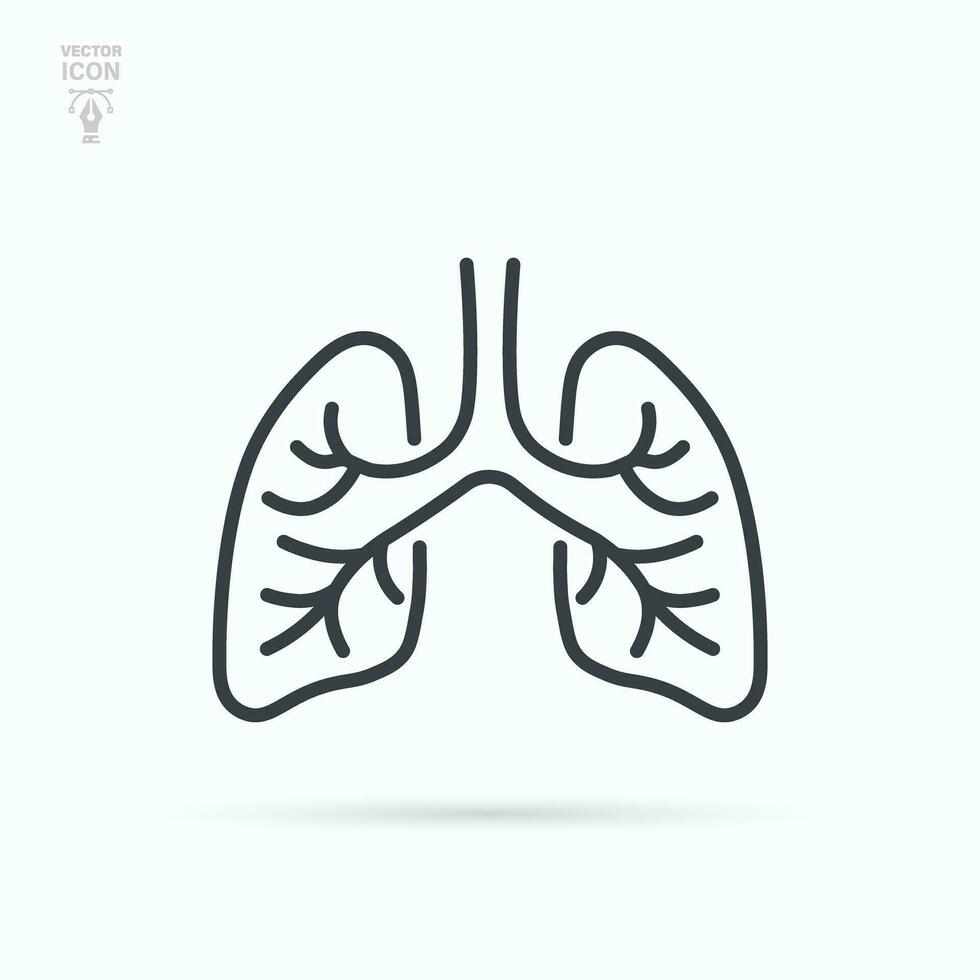 Lungs line icon. Respiratory system healthy lung flat medical organ. Isolated vector illustration.