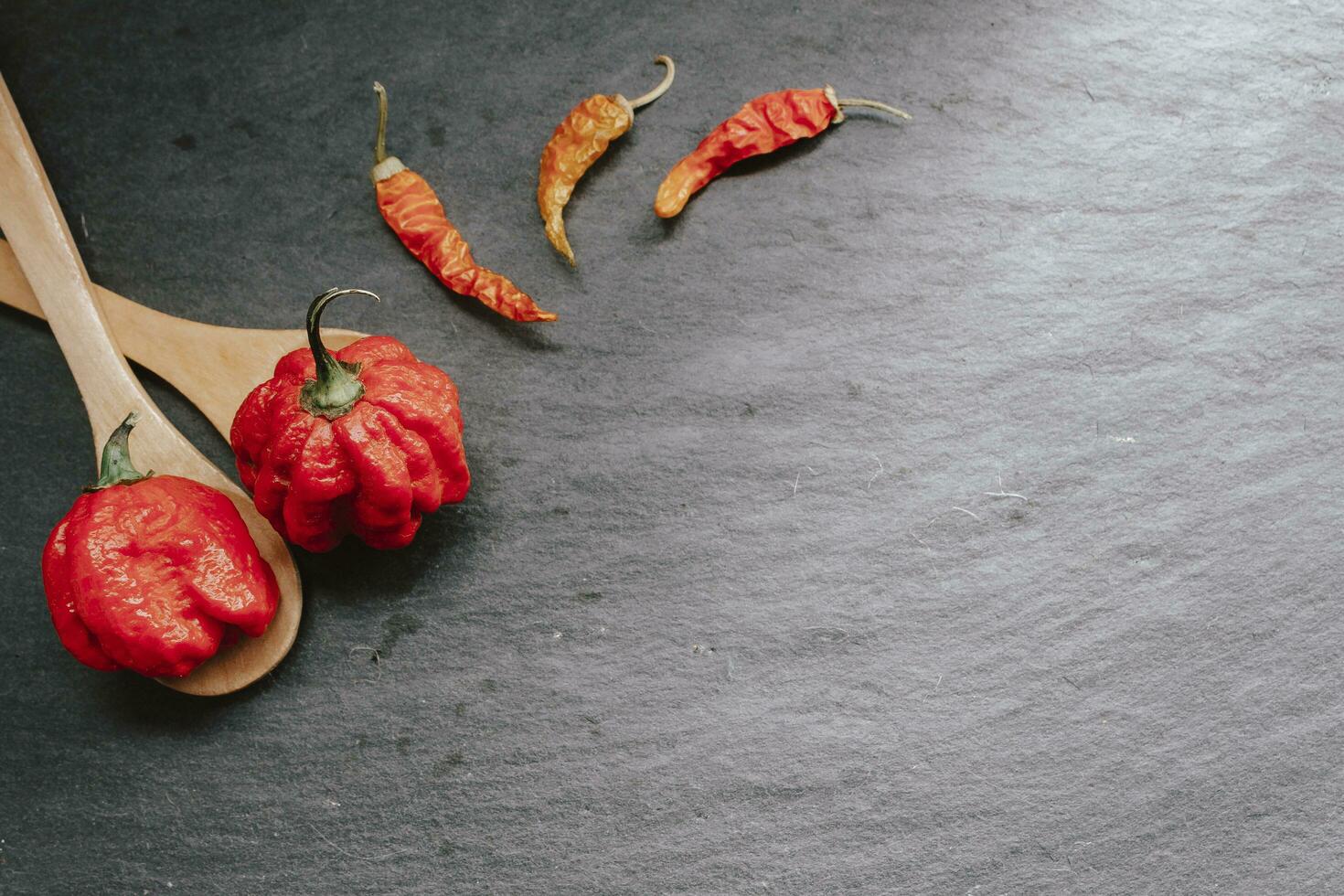 mas caliente pimienta en el mundo. trinidad escorpión marimacho, miles de veces más picante que la Habana. en negro pizarra fondo, con natural ligero. picante oscuro comida comida concepto. foto