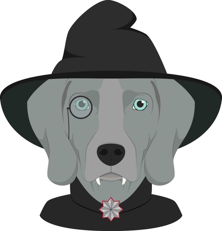 Víspera de Todos los Santos saludo tarjeta. Weimaraner perro vestido como un vampiro con colmillos, monóculo, capa y negro sombrero vector