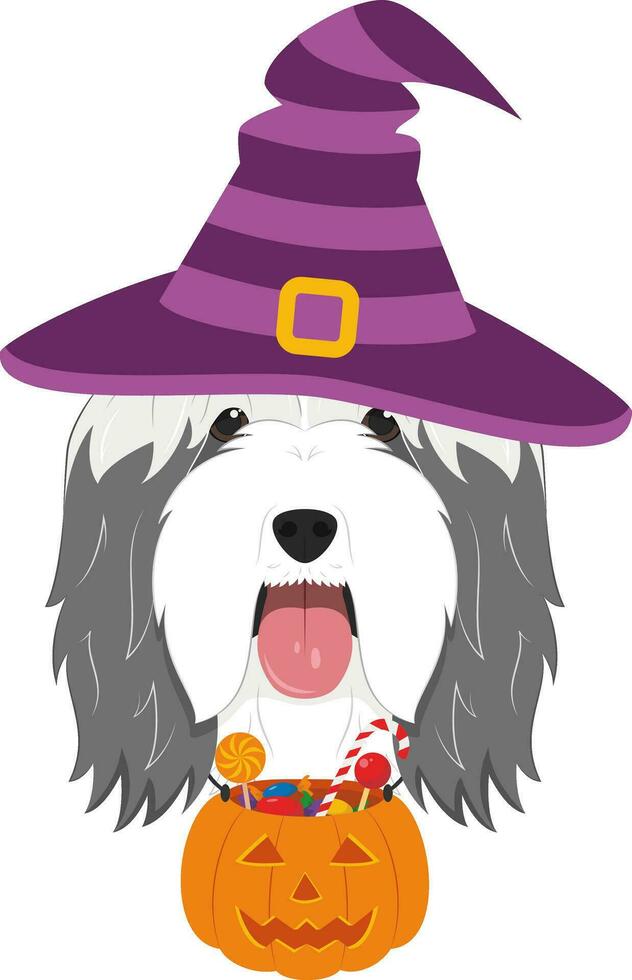 Víspera de Todos los Santos saludo tarjeta. barbado collie perro vestido como un bruja con púrpura sombrero y un calabaza con golosinas en el boca vector