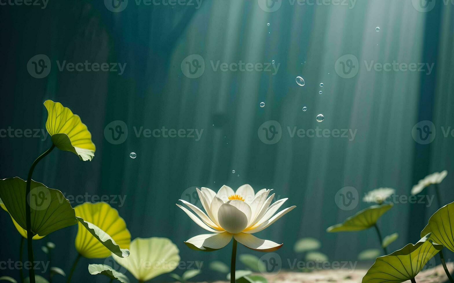 The Exquisite Pink Lotus Blossom Submerged in Tranquility ai generated photo