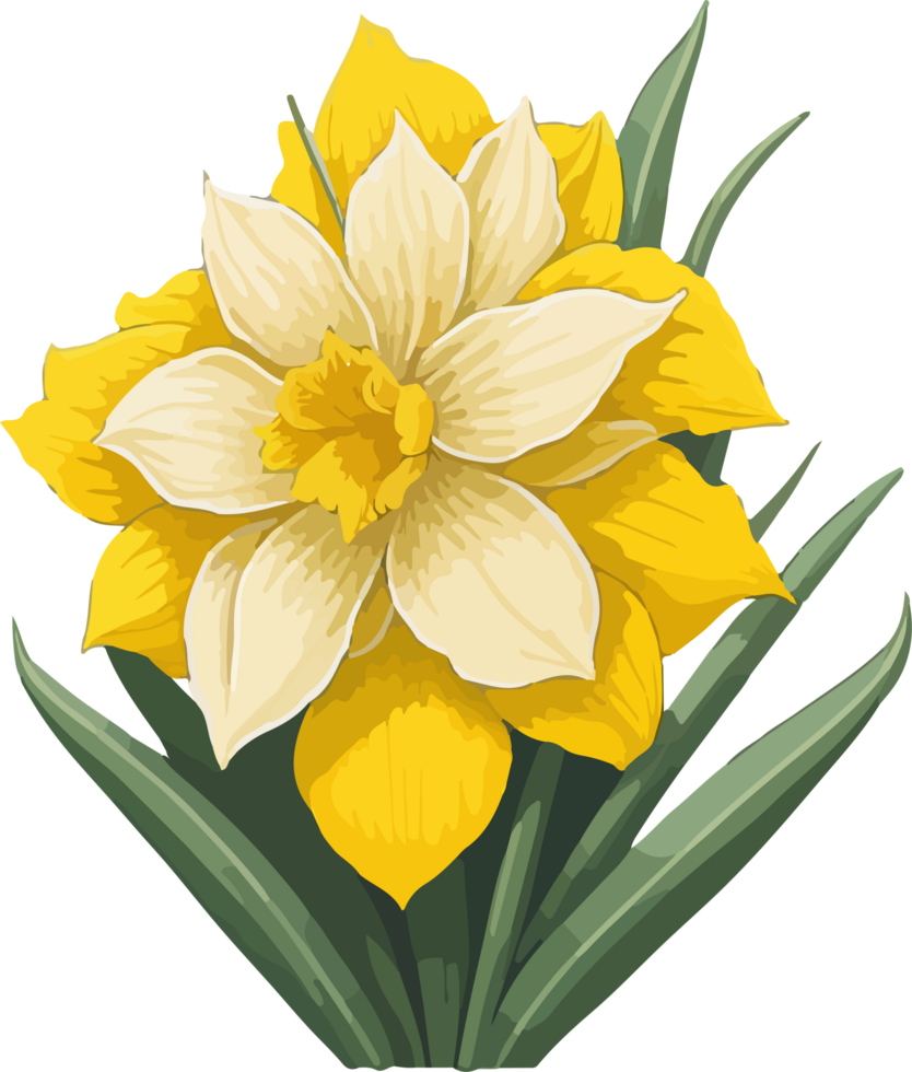 A Daffodil Flower Clipart Decoration AI Generative png