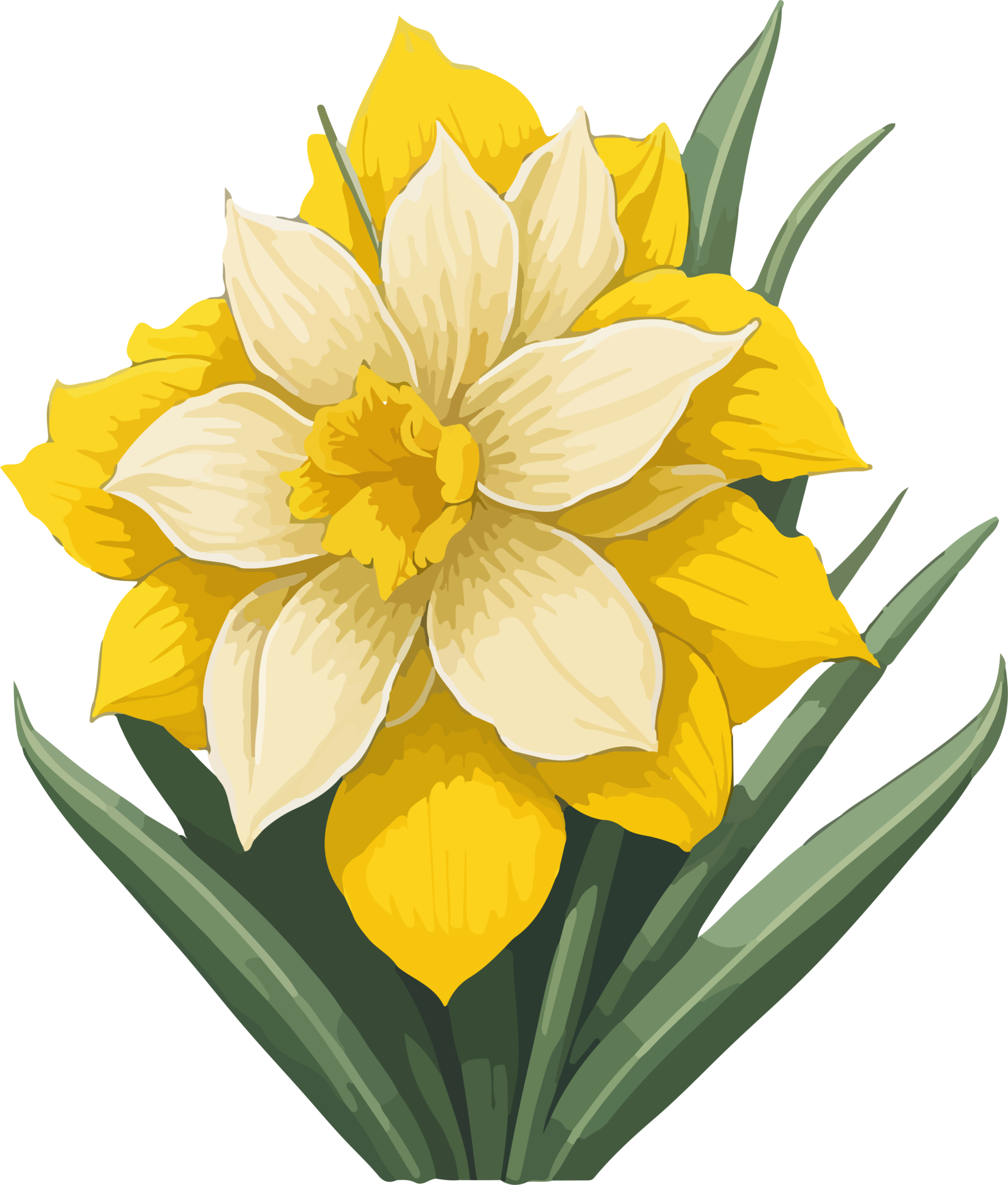 A Daffodil Flower Clipart Decoration AI Generative 27948754 PNG