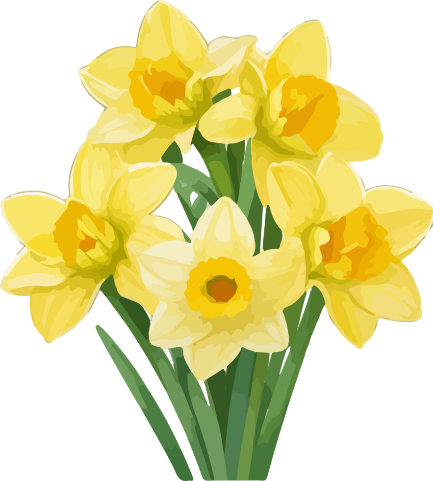 A Daffodil Flower Clipart Watercolor with AI Generative png