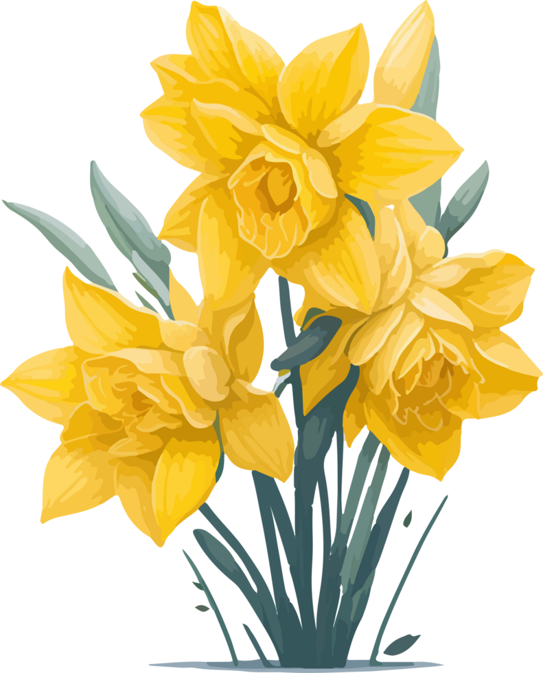 A Daffodil Flower Clip Art Illustration with AI Generative png