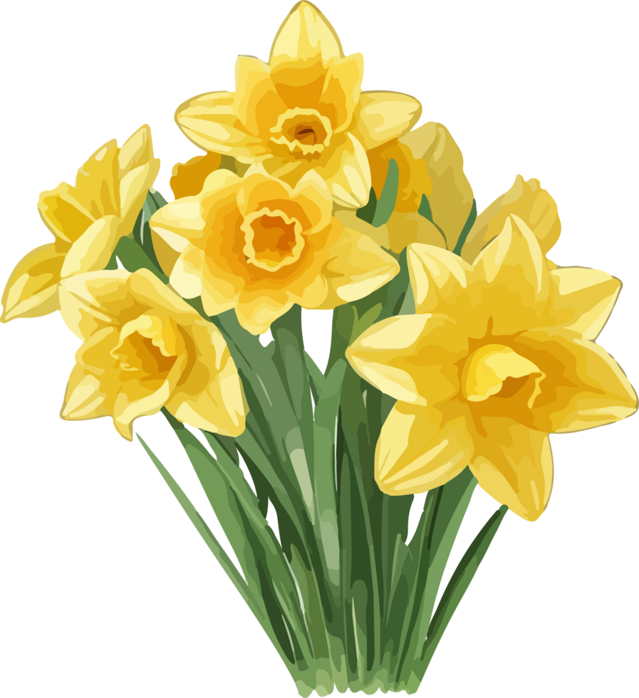 A Daffodil Flower Clipart Illustration with AI Generative png