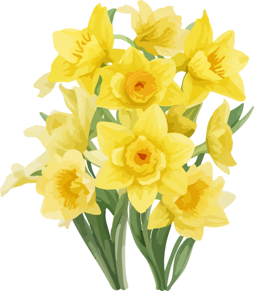 A Daffodil Flower Clipart Illustration AI Generative png