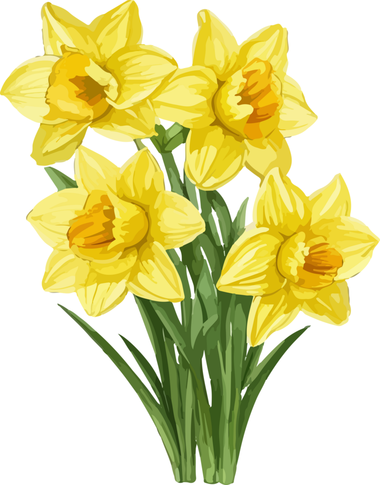 A Daffodil Flower Clip Art Decoration AI Generative png